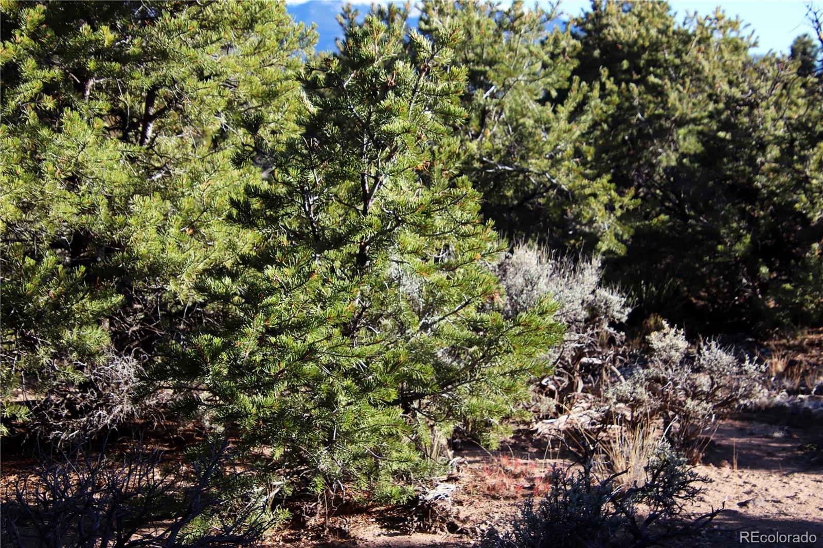 Lot 1 Largo Vista Drive San Luis CO 81152
