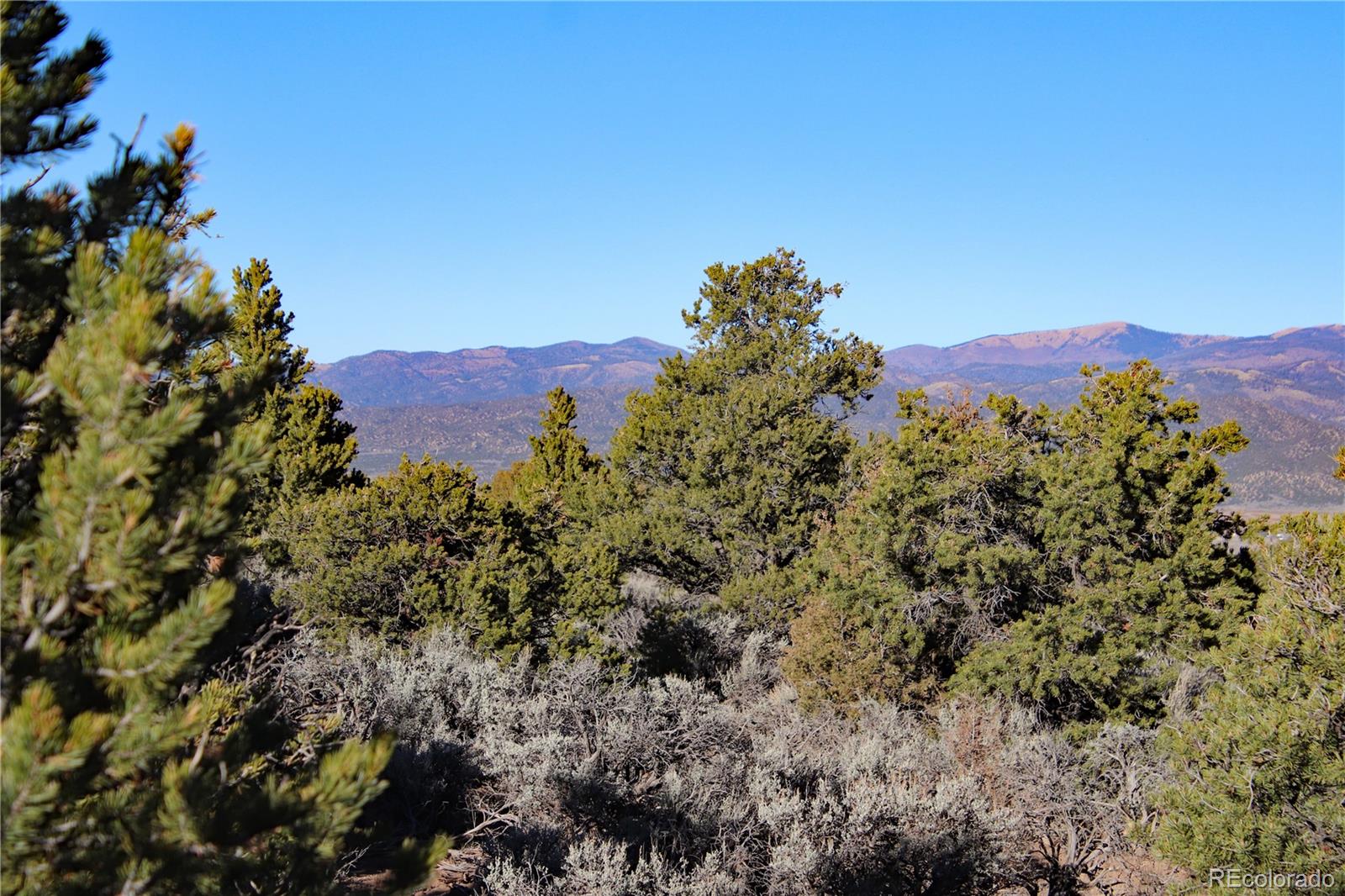 Lot 1 Largo Vista Drive San Luis CO 81152