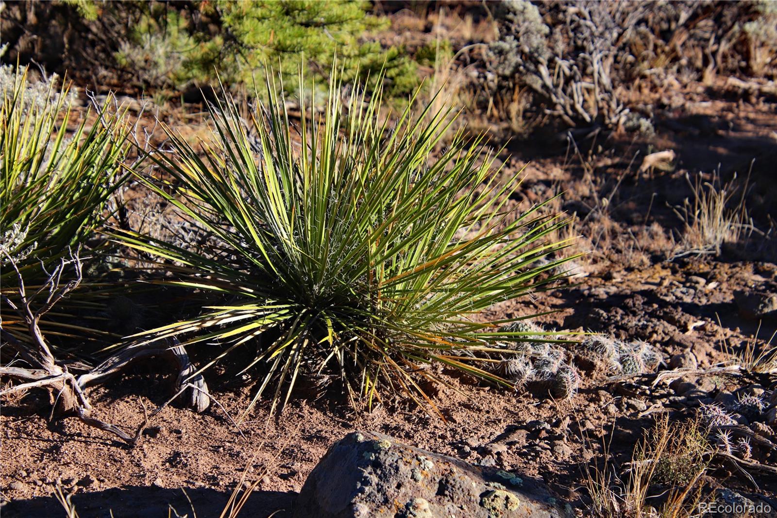 Lot 1 Largo Vista Drive San Luis CO 81152