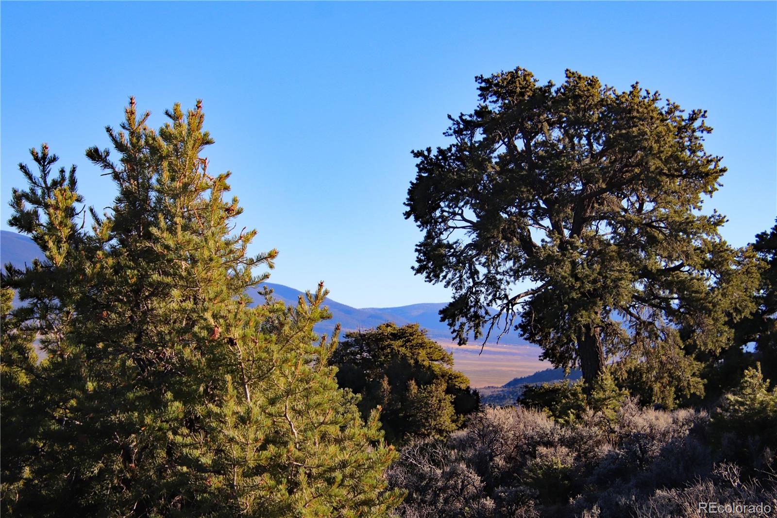 Lot 1 Largo Vista Drive San Luis CO 81152