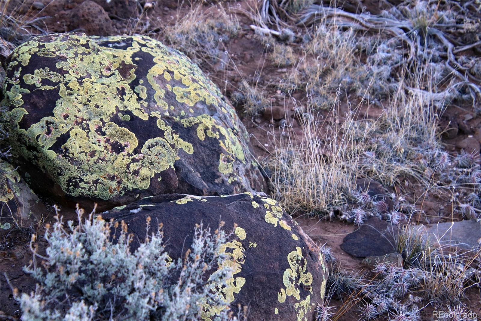 Lot 1 Largo Vista Drive San Luis CO 81152