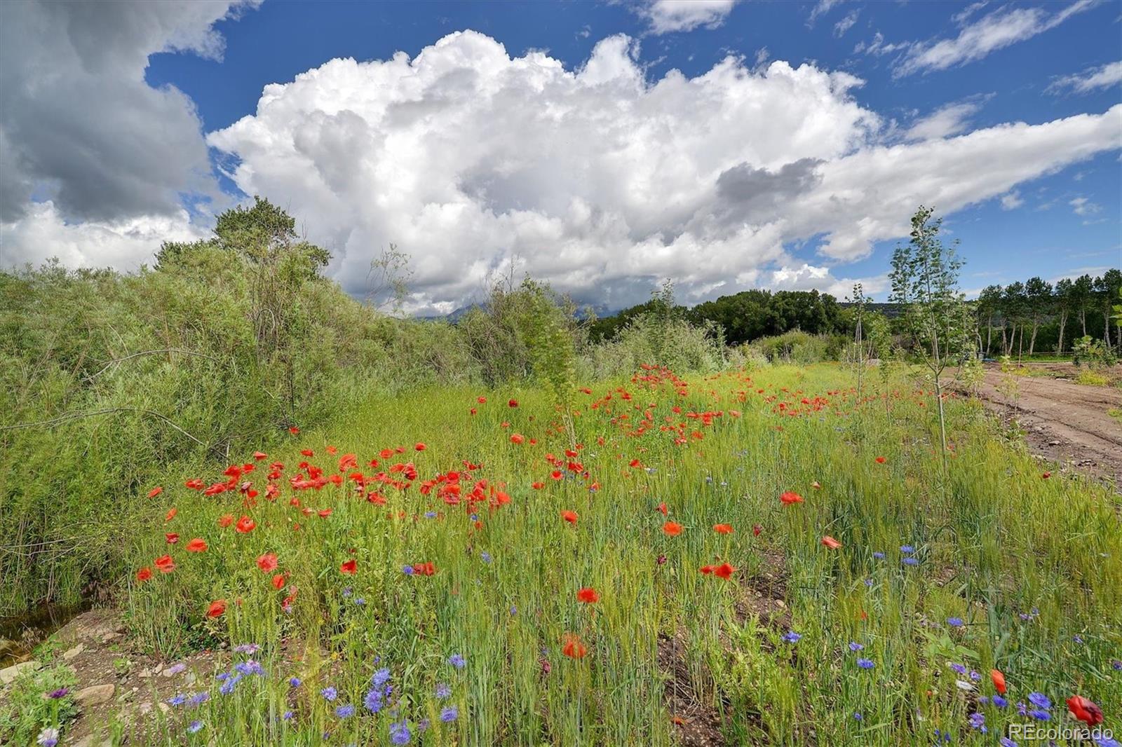 7383 Heavenly View Parkway Salida CO 81201