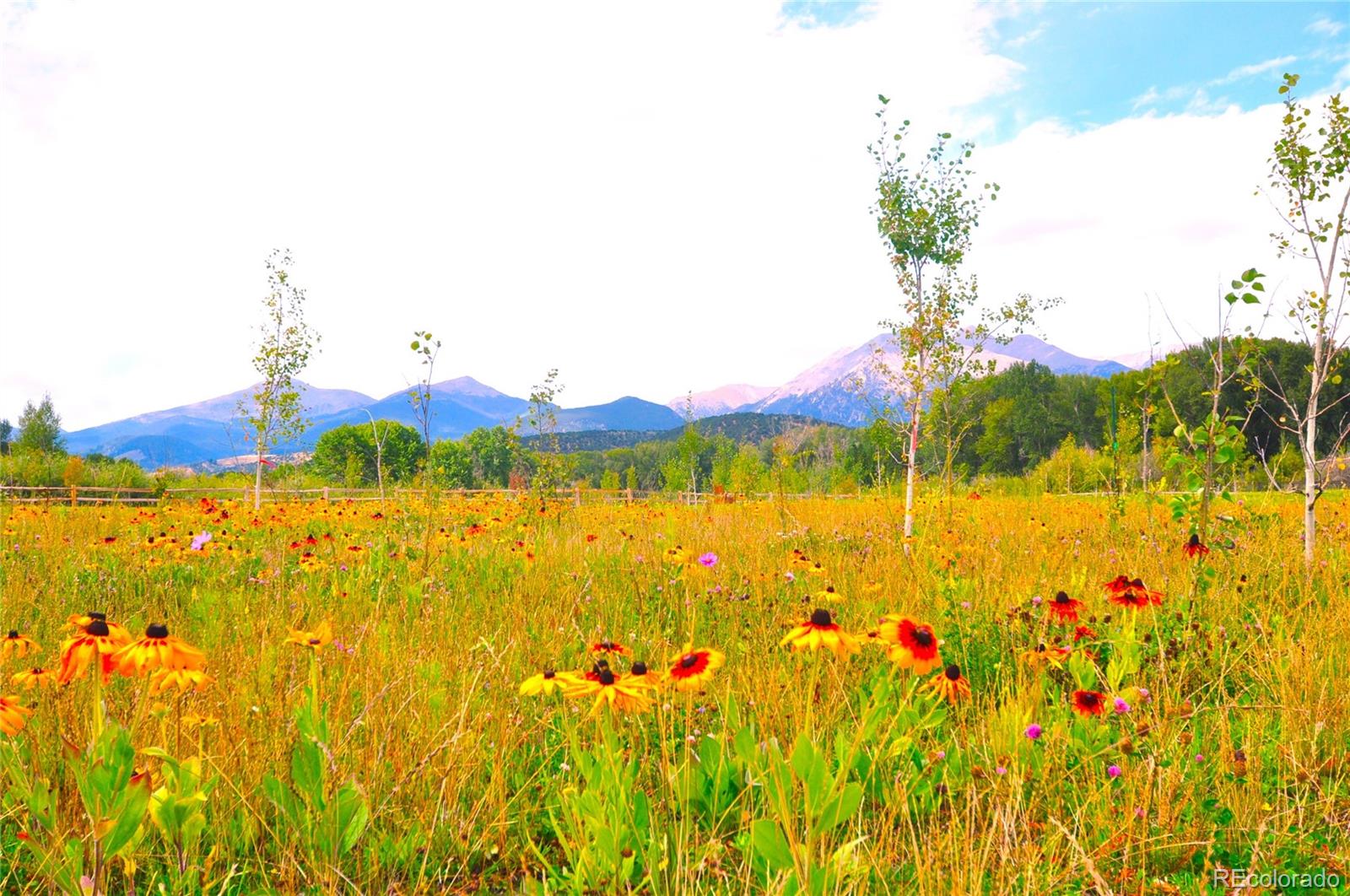 7383 Heavenly View Parkway Salida CO 81201