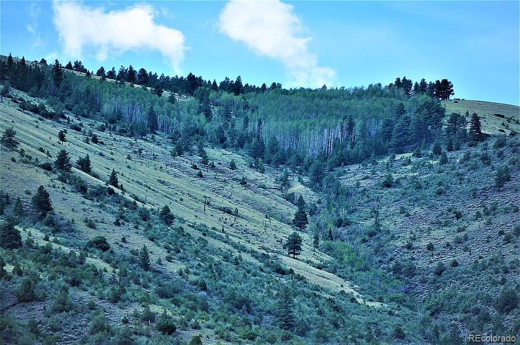7383 Heavenly View Parkway Salida CO 81201
