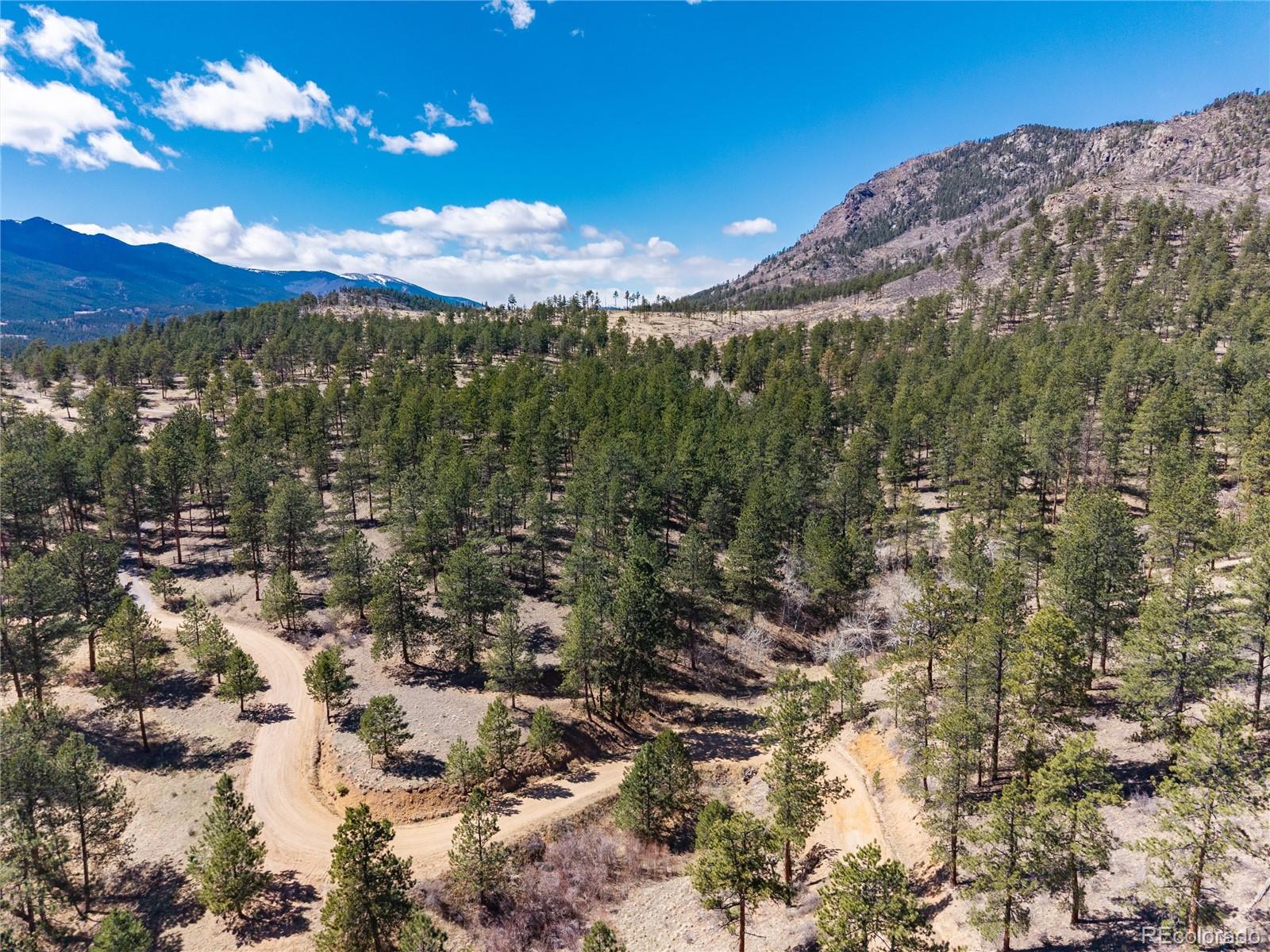 Lot 12a Bailey Estates Bailey CO 80421