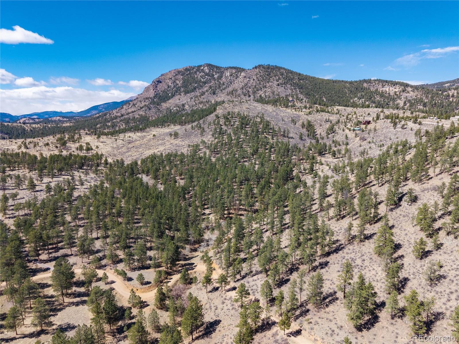 Lot 12a Bailey Estates Bailey CO 80421
