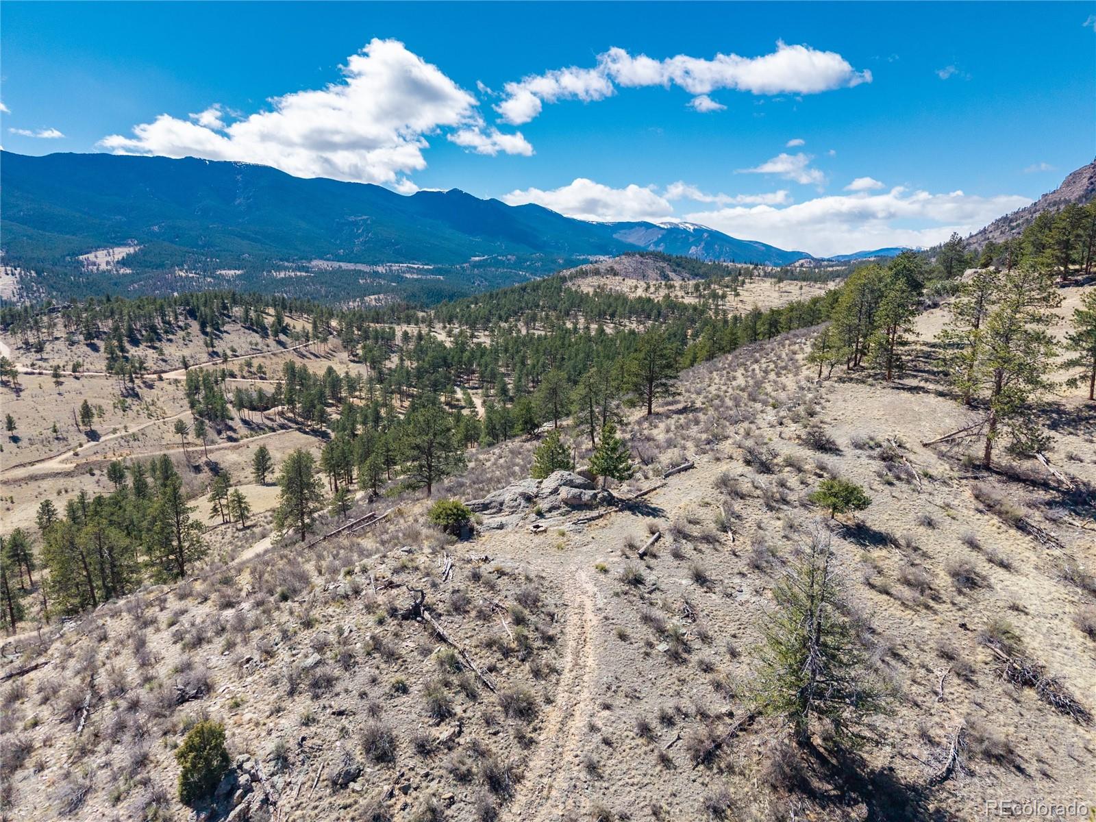 Lot 12a Bailey Estates Bailey CO 80421