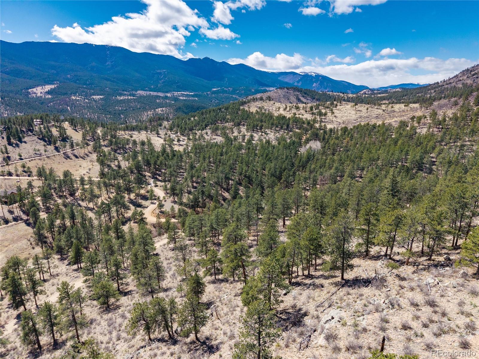 Lot 12a Bailey Estates Bailey CO 80421