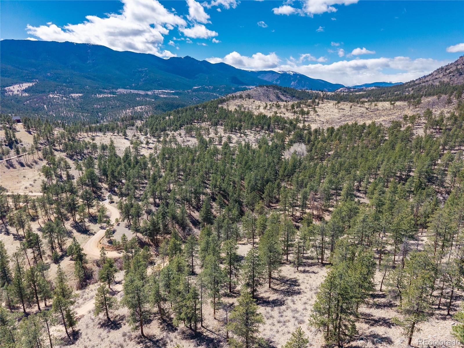 Lot 12a Bailey Estates Bailey CO 80421
