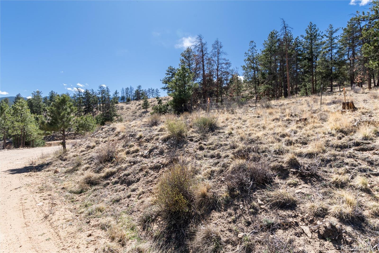 Lot 12a Bailey Estates Bailey CO 80421