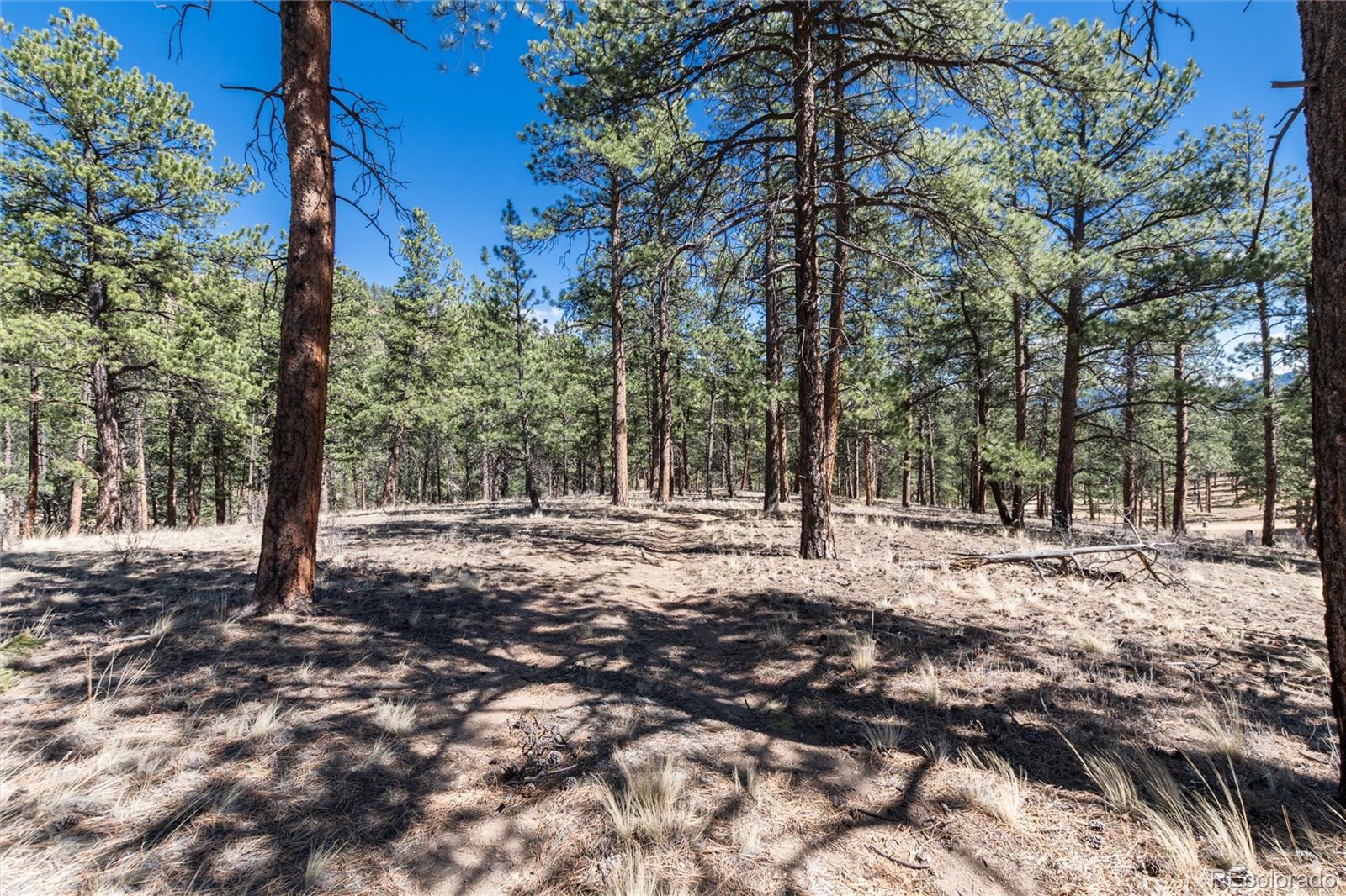 Lot 12a Bailey Estates Bailey CO 80421
