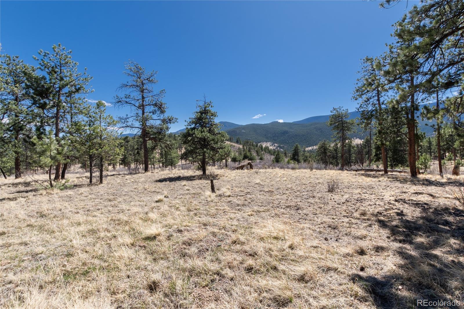 Lot 12a Bailey Estates Bailey CO 80421