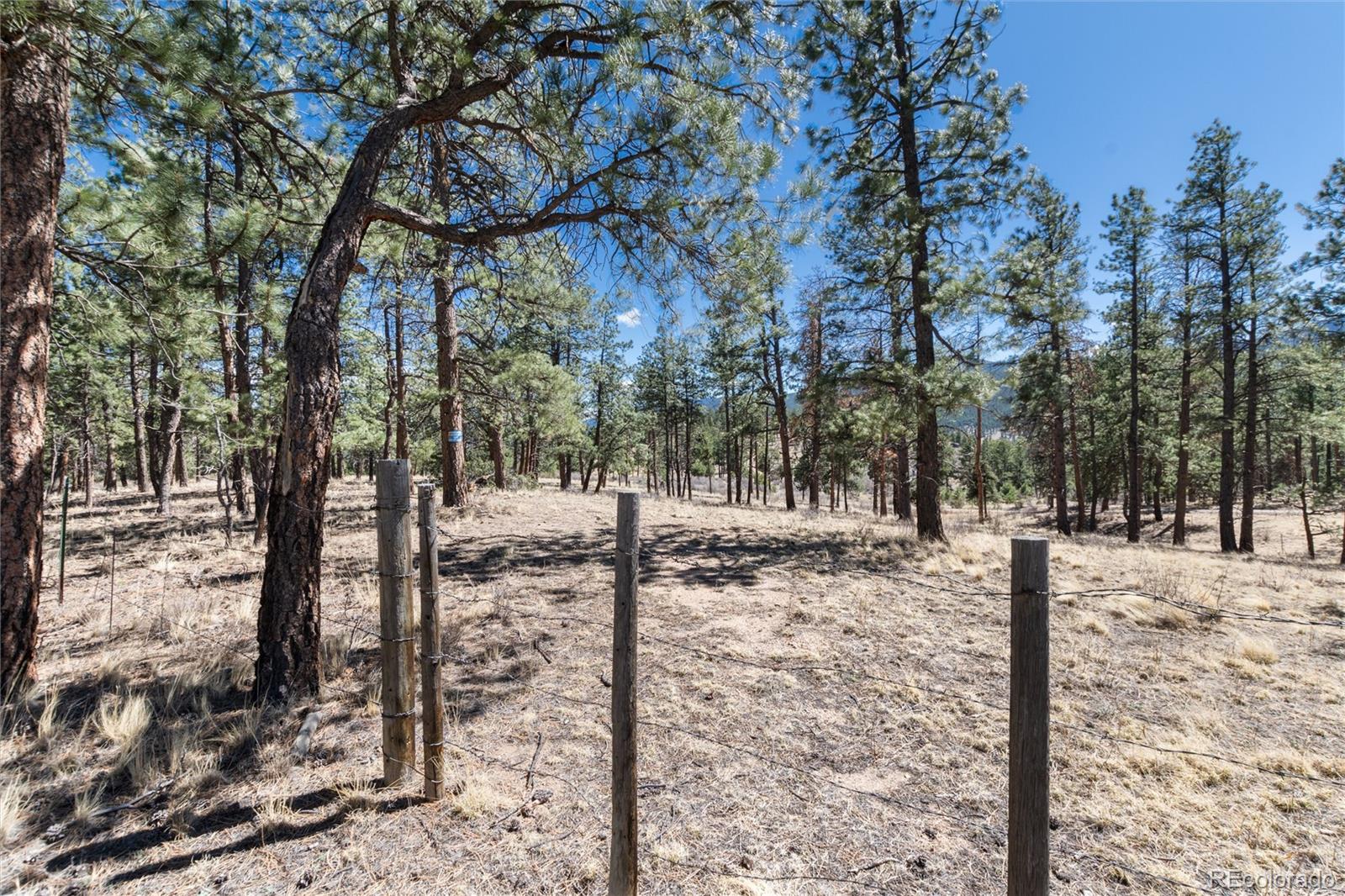 Lot 12a Bailey Estates Bailey CO 80421
