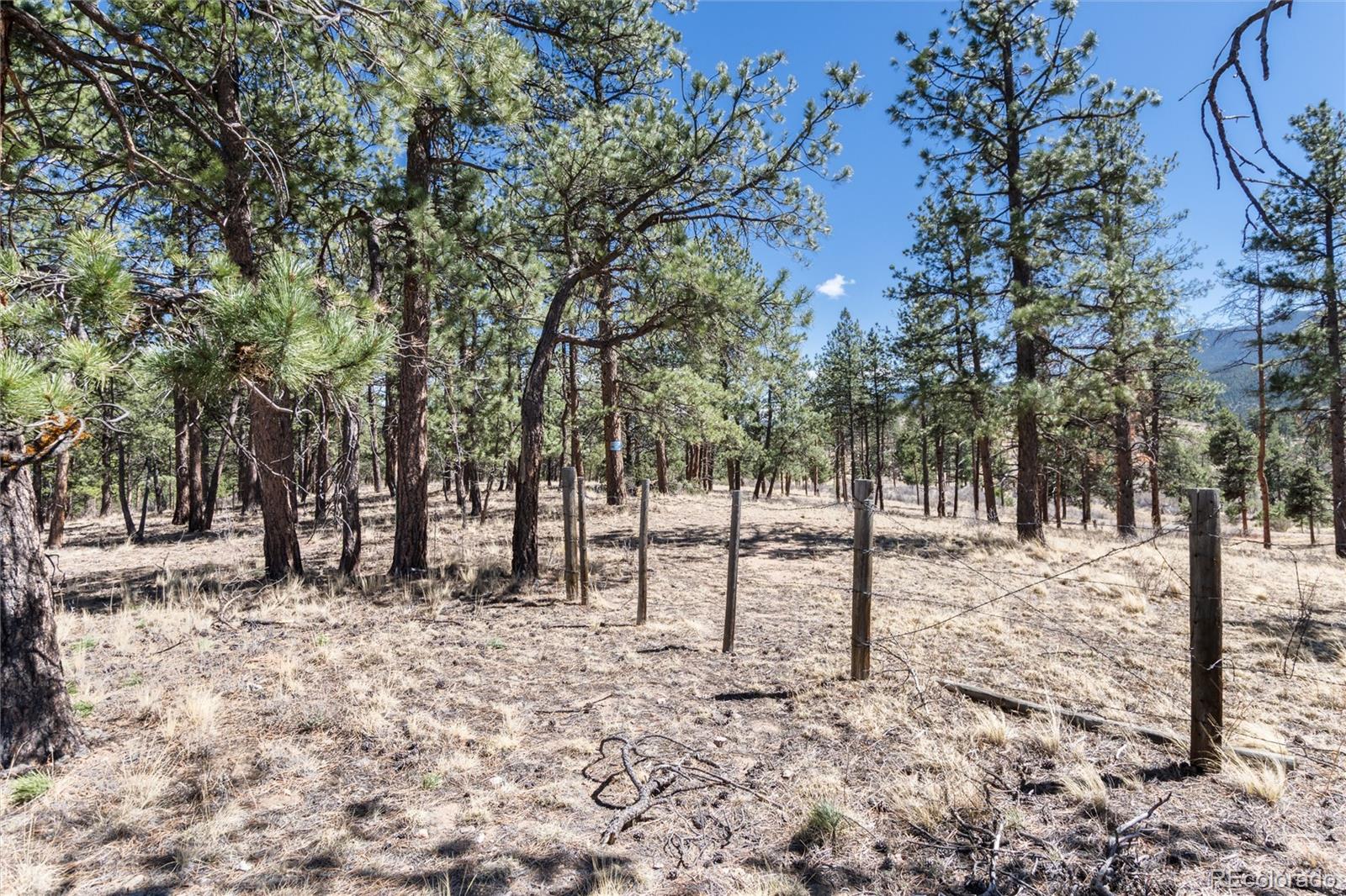 Lot 12a Bailey Estates Bailey CO 80421