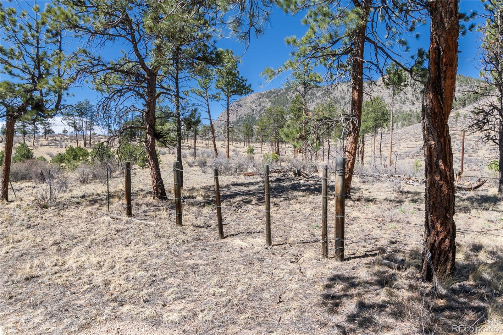 Lot 12a Bailey Estates Bailey CO 80421