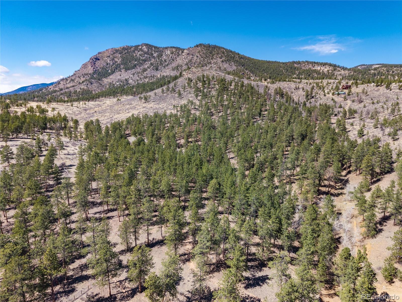 Lot 12a Bailey Estates Bailey CO 80421