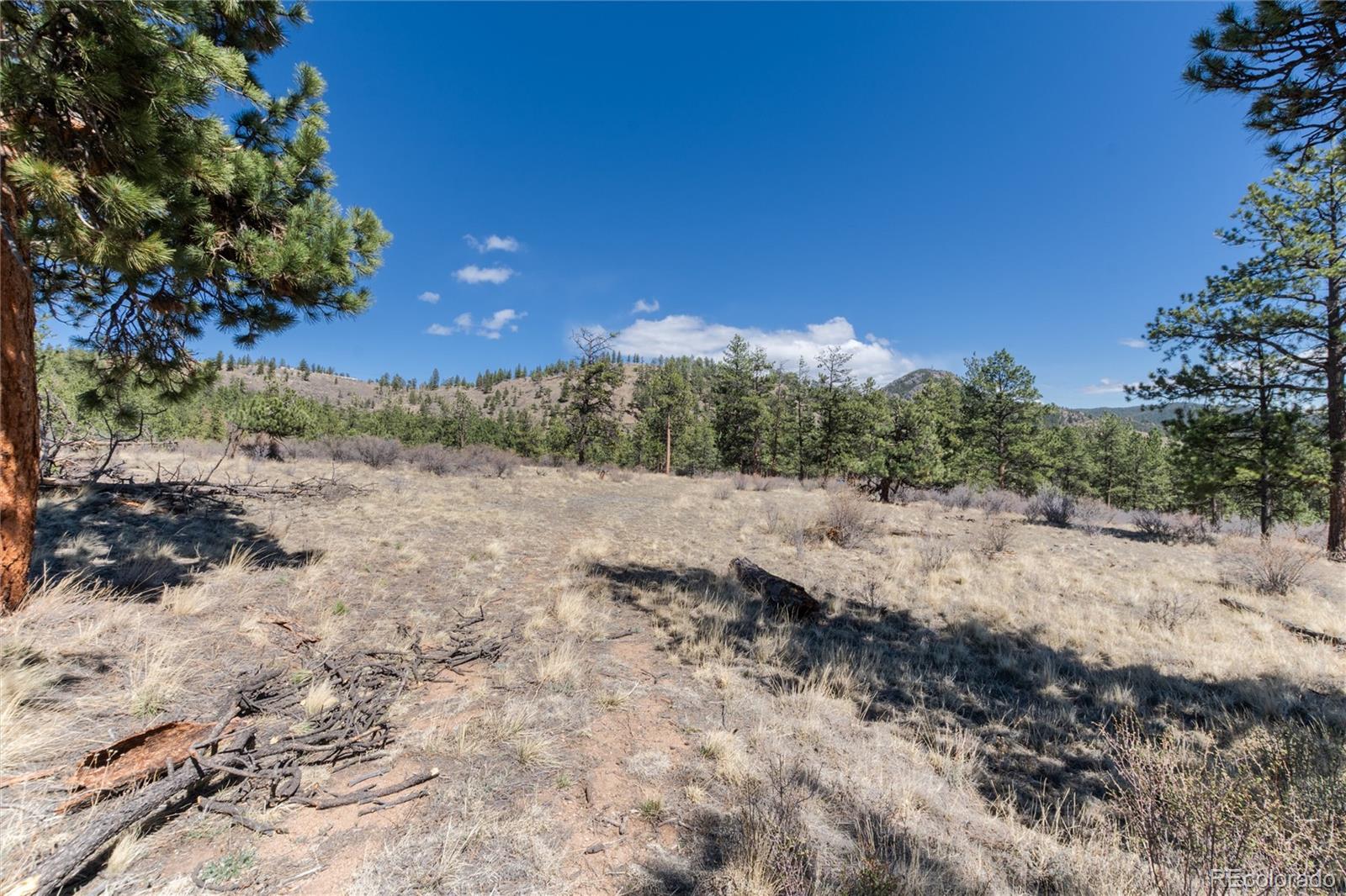 Lot 12a Bailey Estates Bailey CO 80421