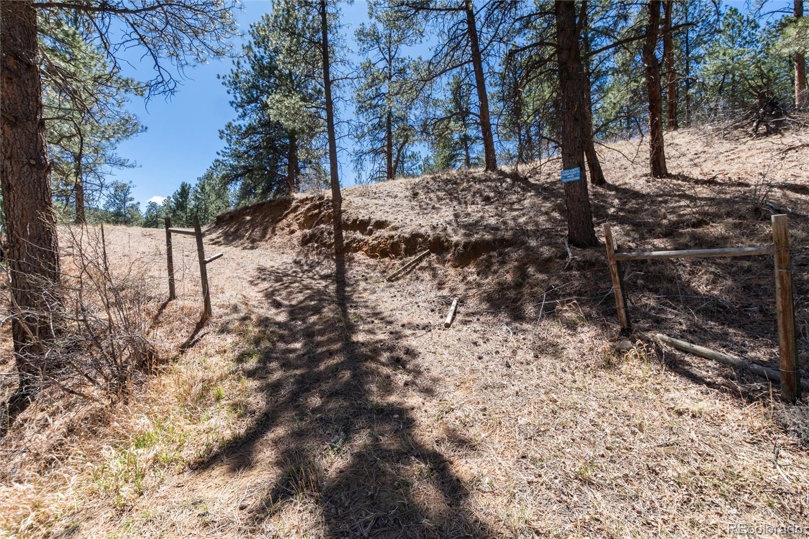 Lot 12a Bailey Estates Bailey CO 80421