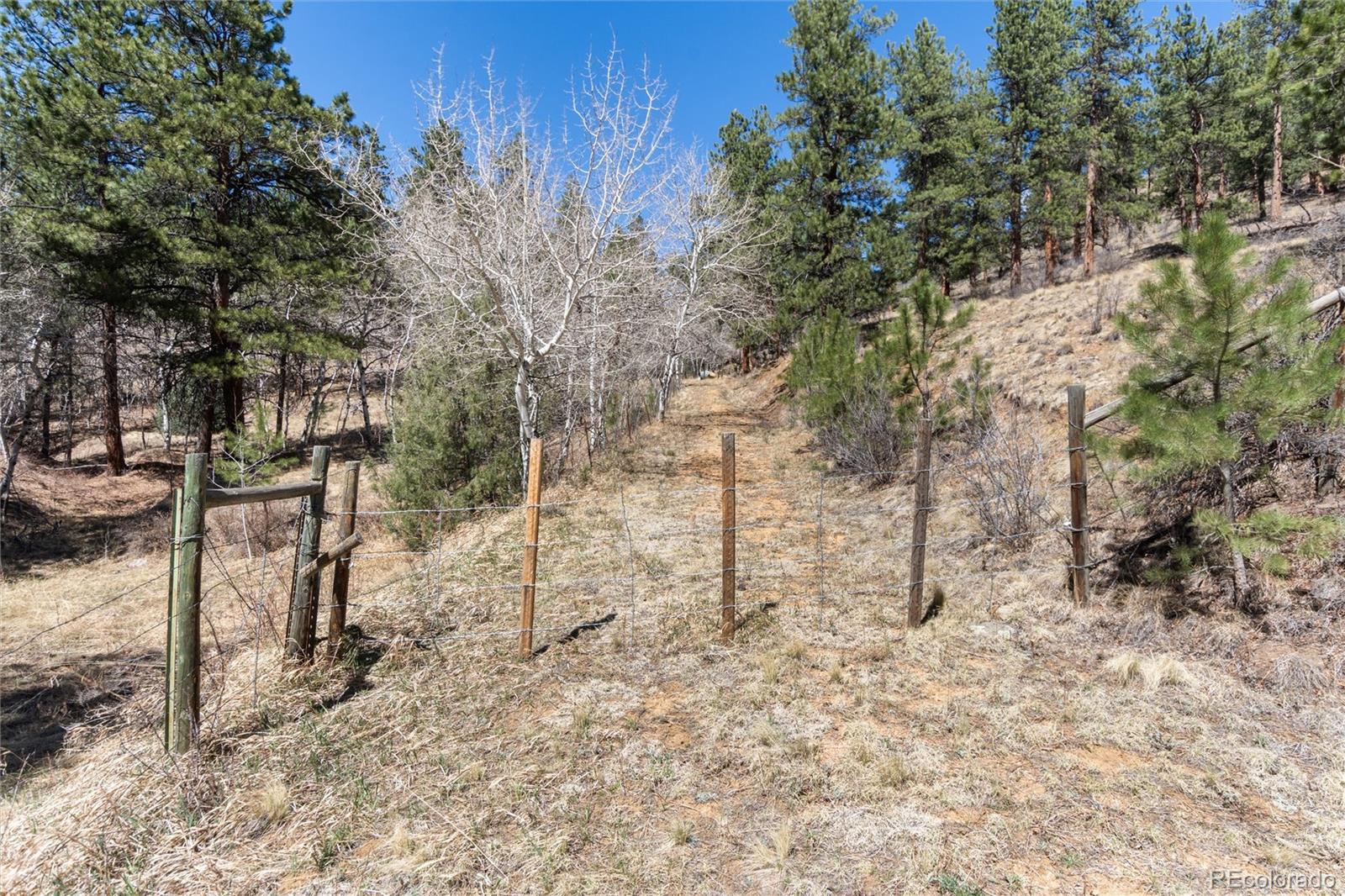 Lot 12a Bailey Estates Bailey CO 80421