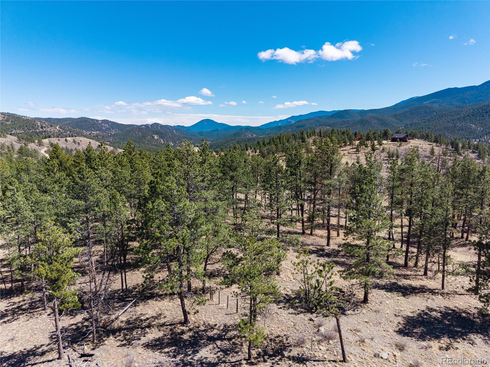 Lot 12a Bailey Estates Bailey CO 80421