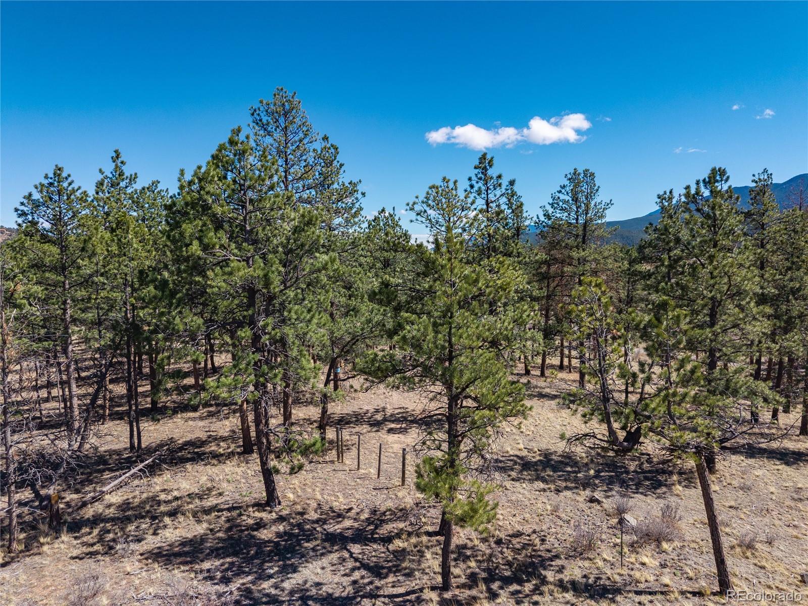 Lot 12a Bailey Estates Bailey CO 80421