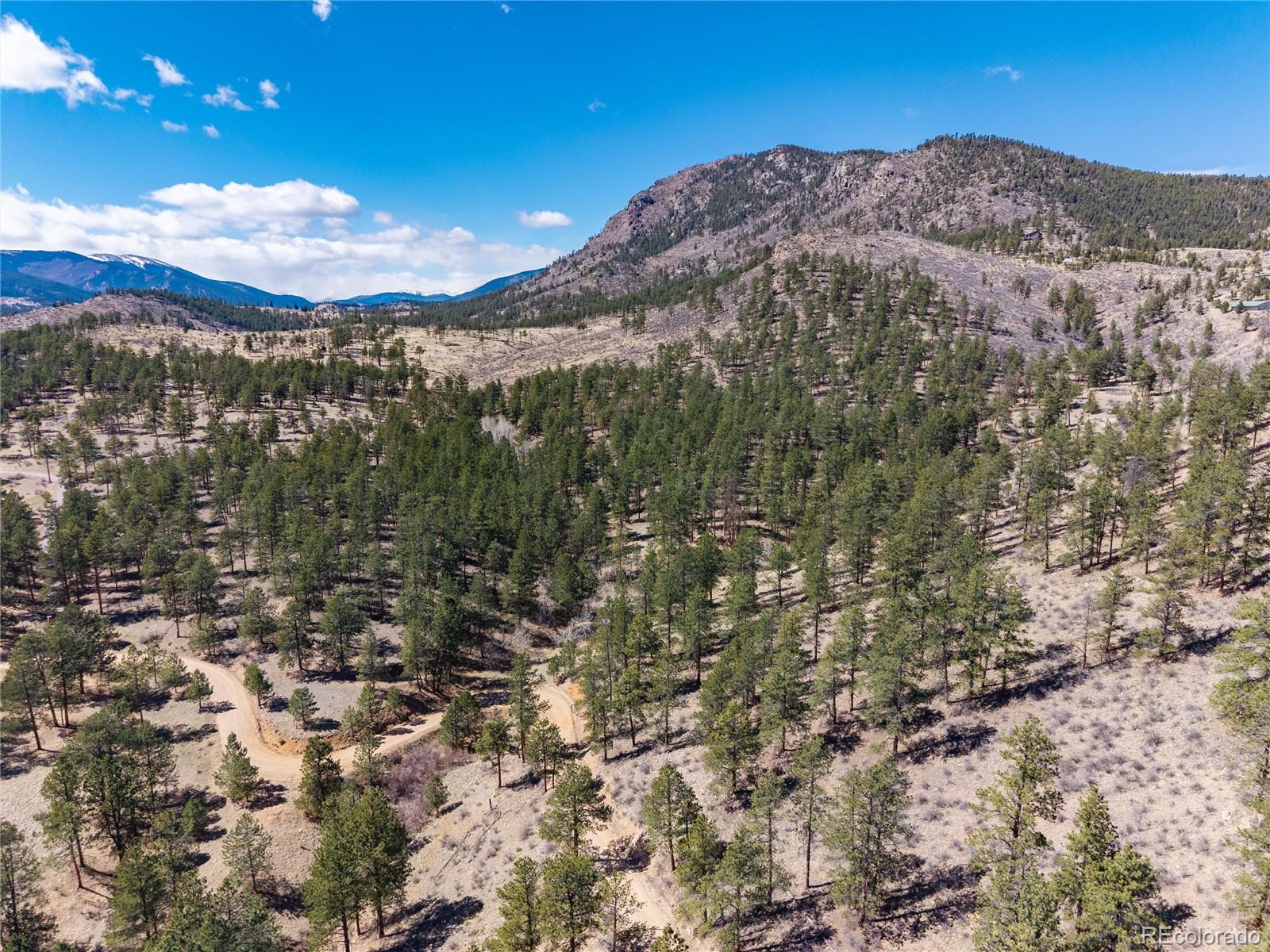 Lot 12a Bailey Estates Bailey CO 80421