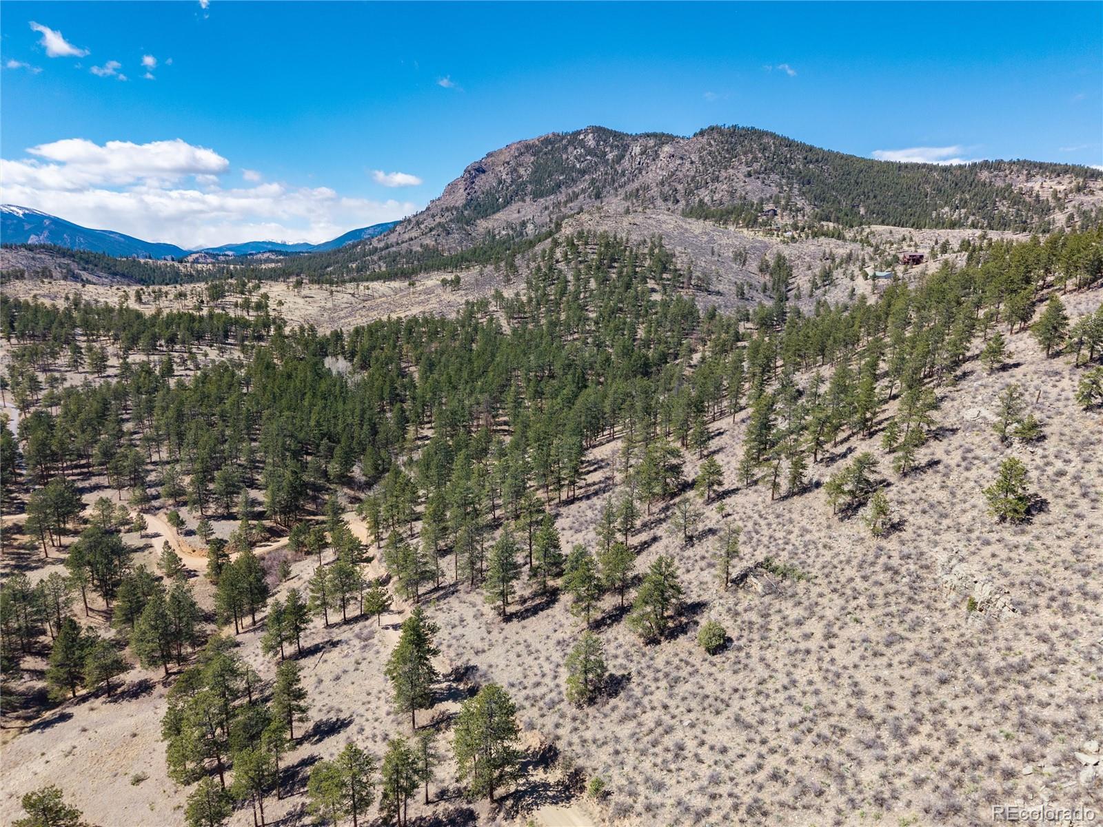 Lot 12a Bailey Estates Bailey CO 80421