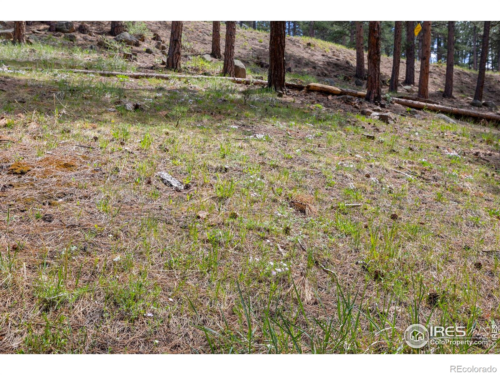 3561 Sunshine Canyon Drive Boulder CO 80302