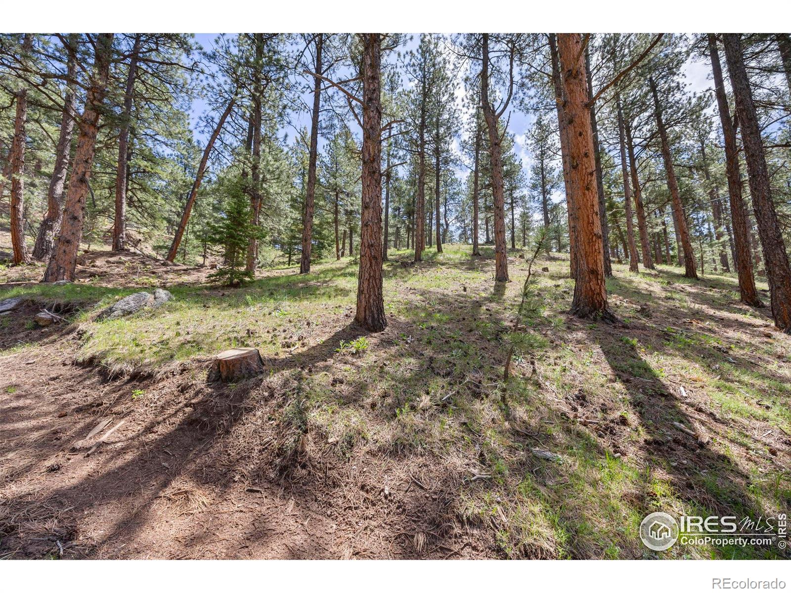 3561 Sunshine Canyon Drive Boulder CO 80302