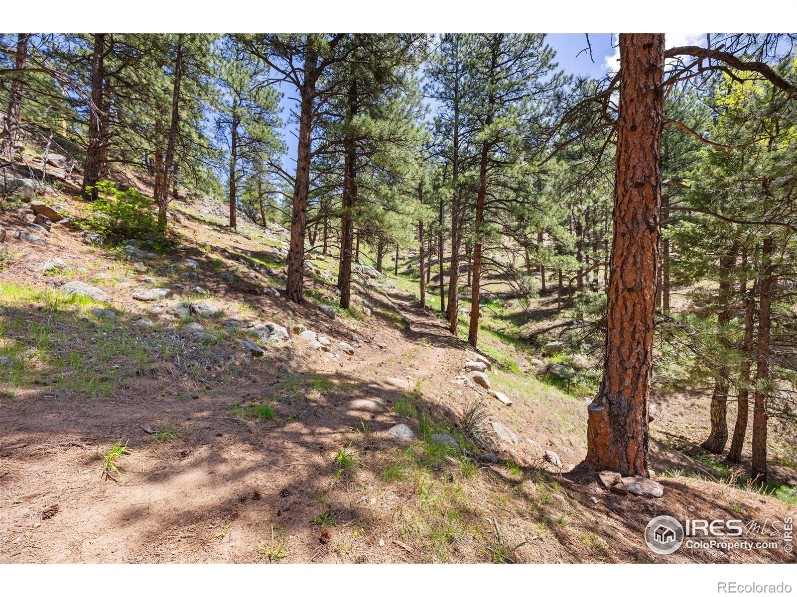 3561 Sunshine Canyon Drive Boulder CO 80302