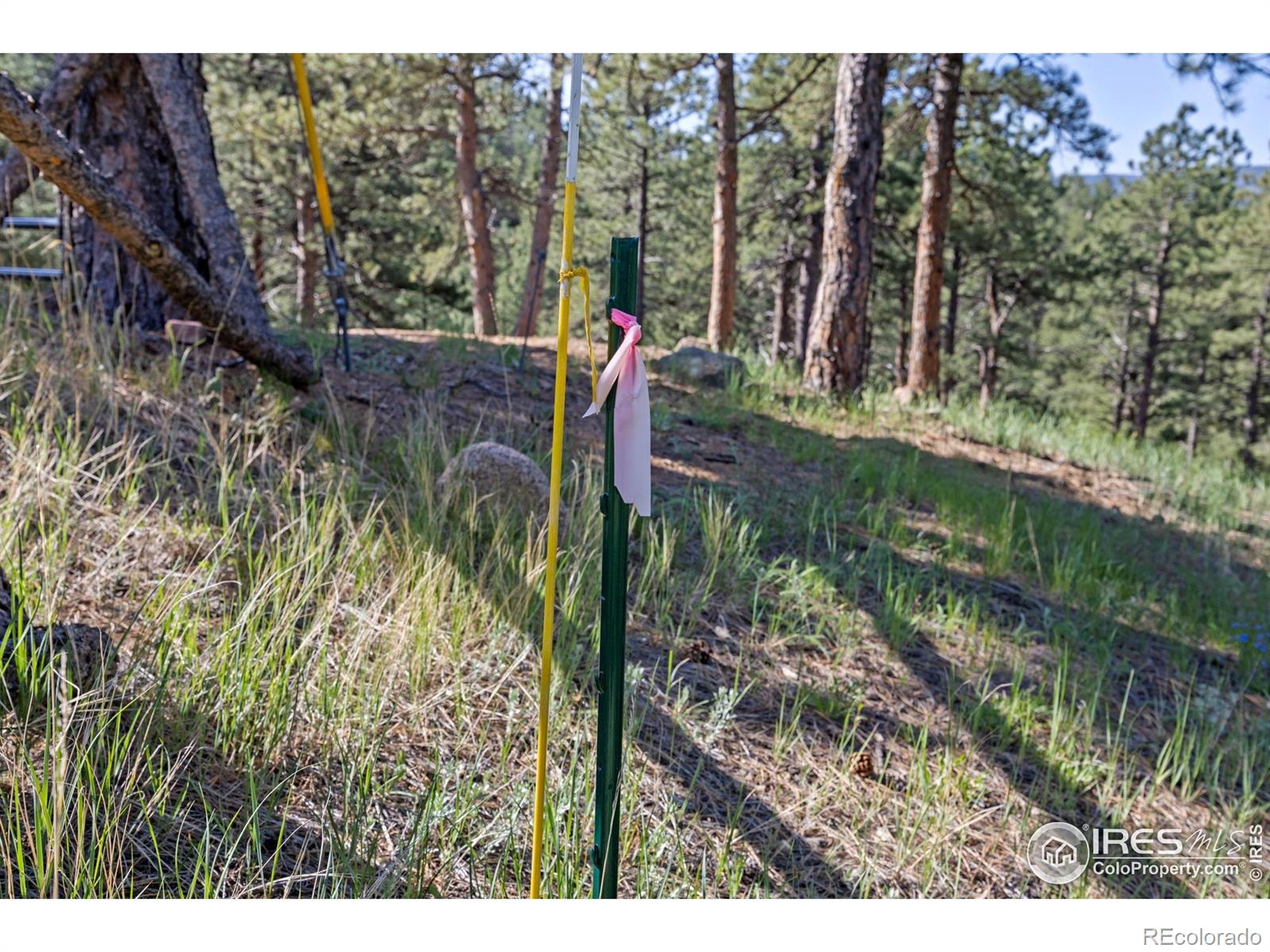 3561 Sunshine Canyon Drive Boulder CO 80302