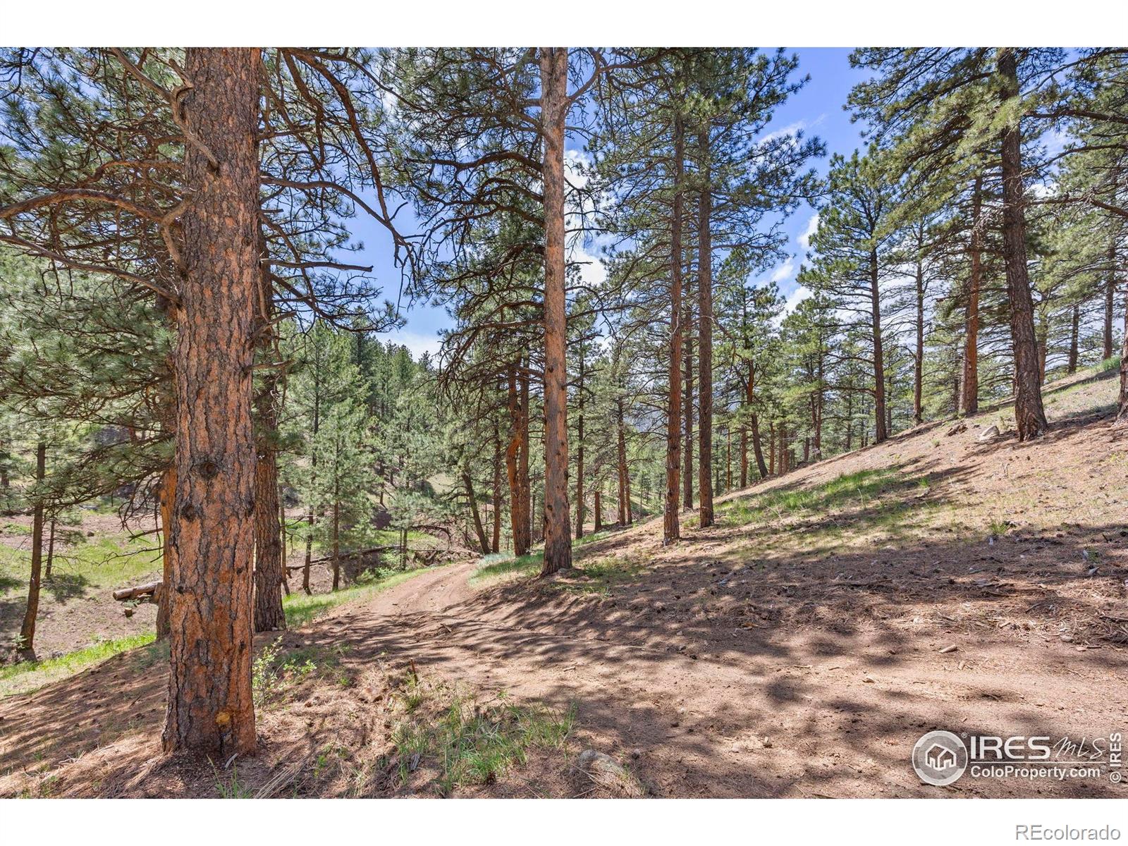 3561 Sunshine Canyon Drive Boulder CO 80302