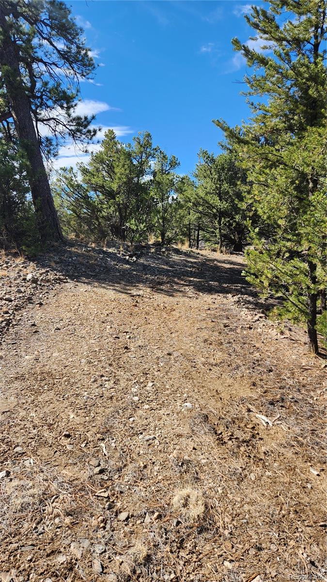 Tbd L I Path Cotopaxi CO 81223