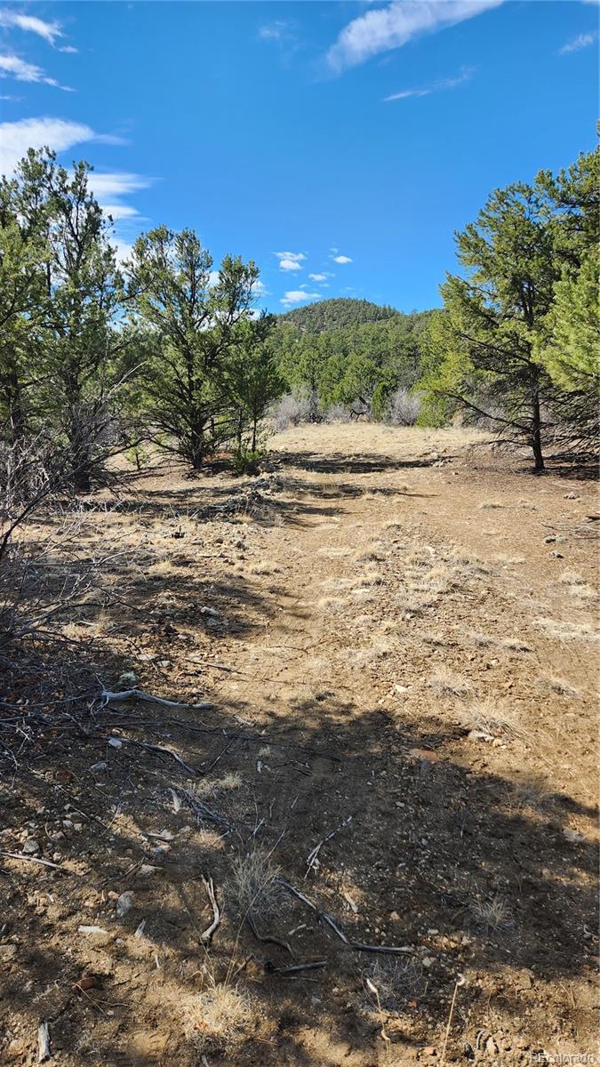 Tbd L I Path Cotopaxi CO 81223