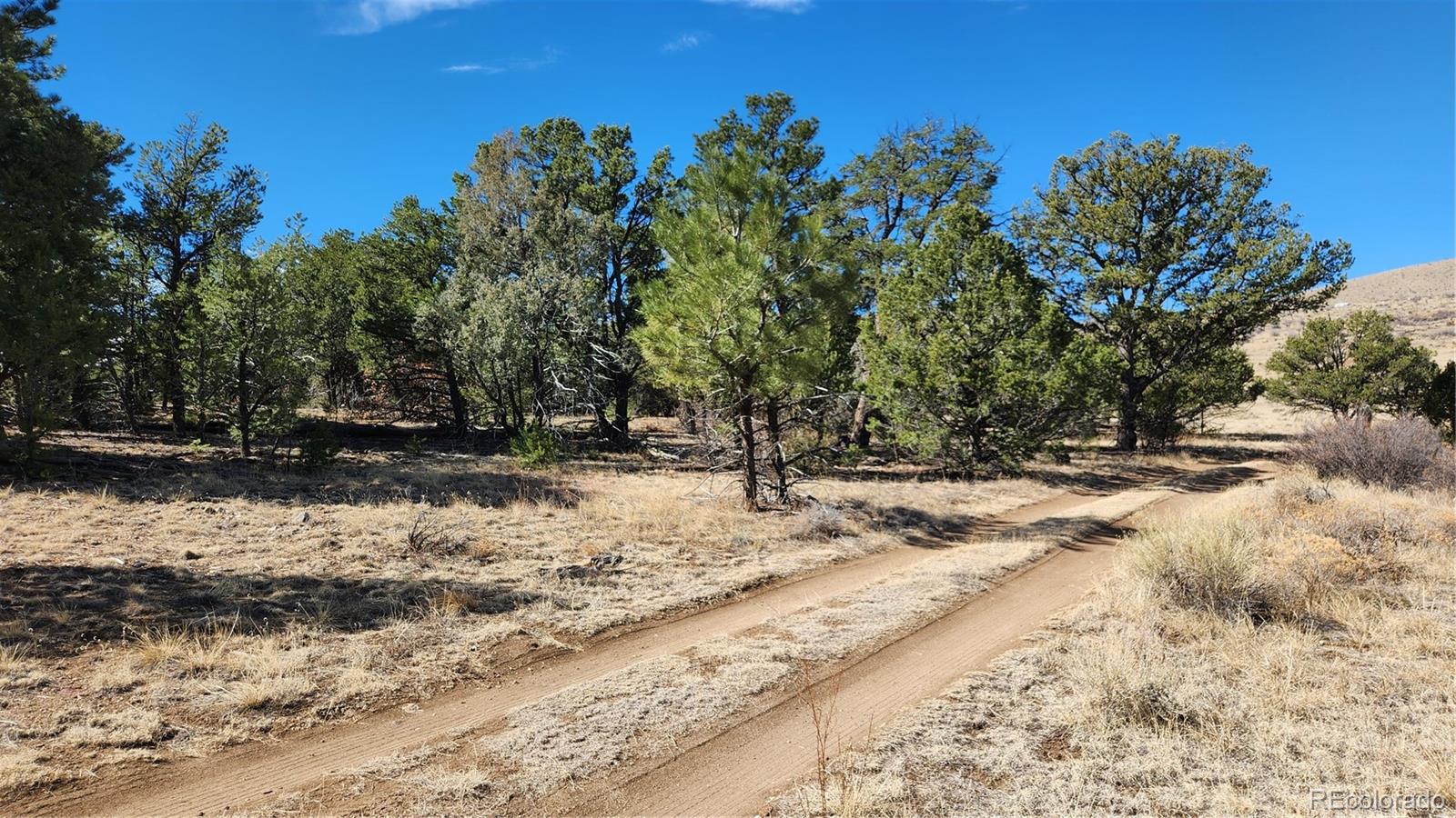 Tbd L I Path Cotopaxi CO 81223