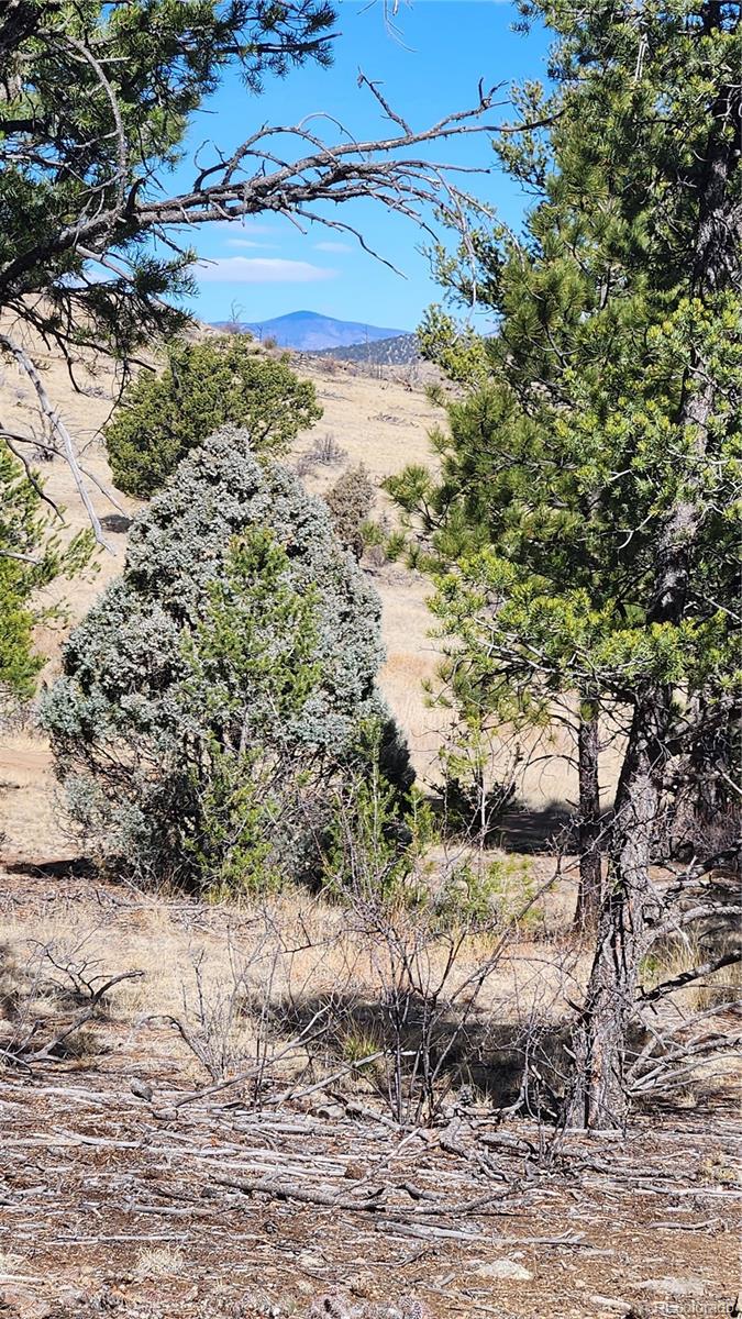 Tbd L I Path Cotopaxi CO 81223