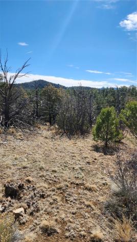 Tbd L I Path Cotopaxi CO 81223