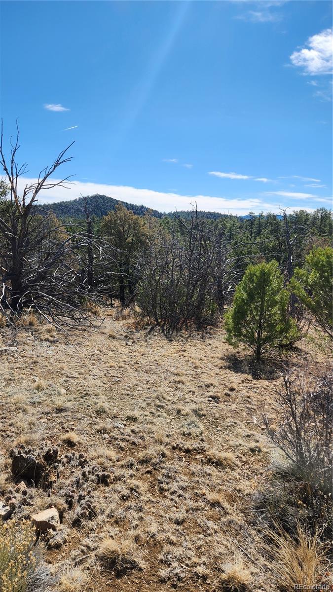 Tbd L I Path Cotopaxi CO 81223