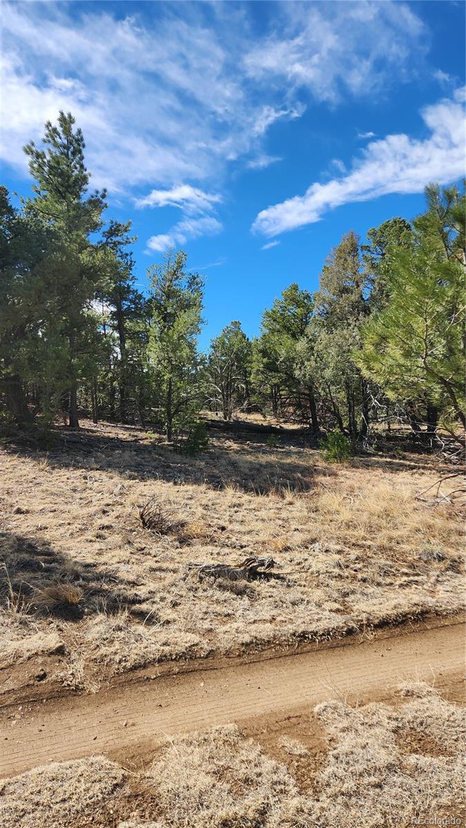 Tbd L I Path Cotopaxi CO 81223