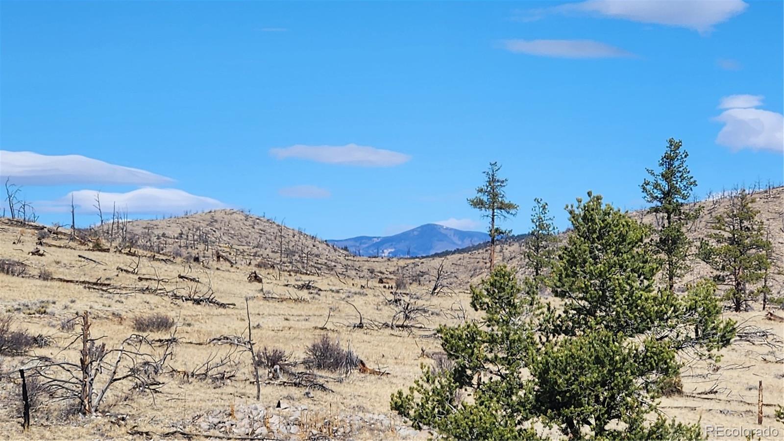 Tbd L I Path Cotopaxi CO 81223