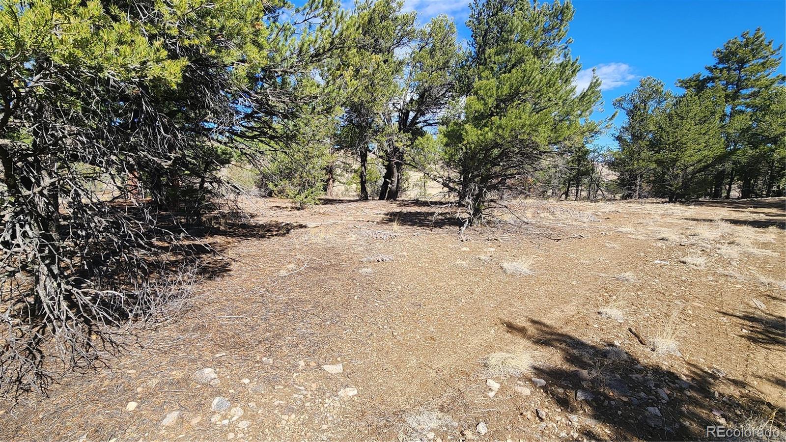 Tbd L I Path Cotopaxi CO 81223