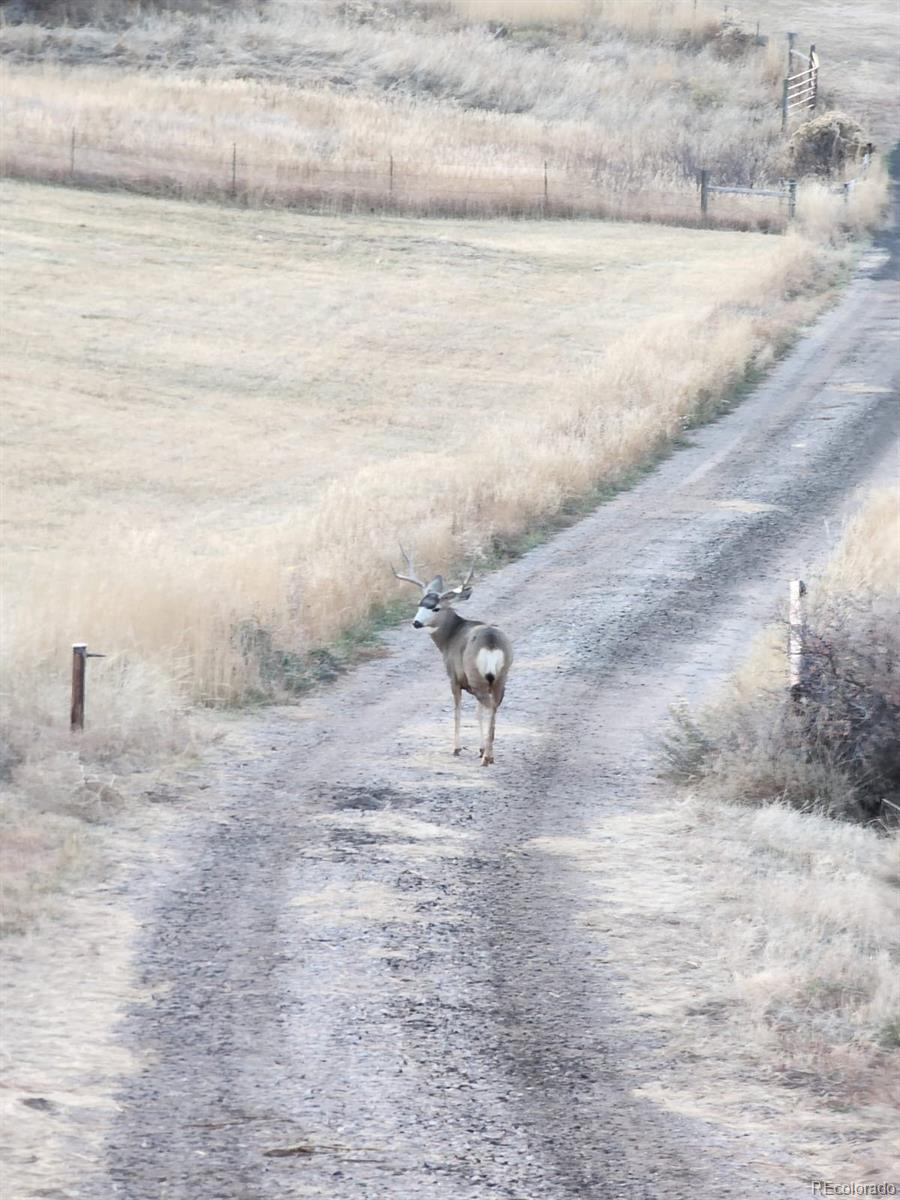 940 S County Road 29 Loveland CO 80537