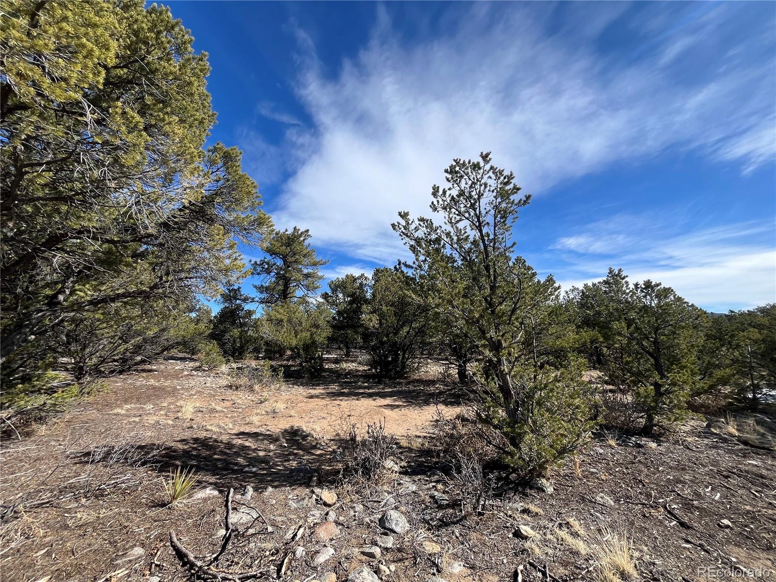 29274 Lakota Lane Buena Vista CO 81211