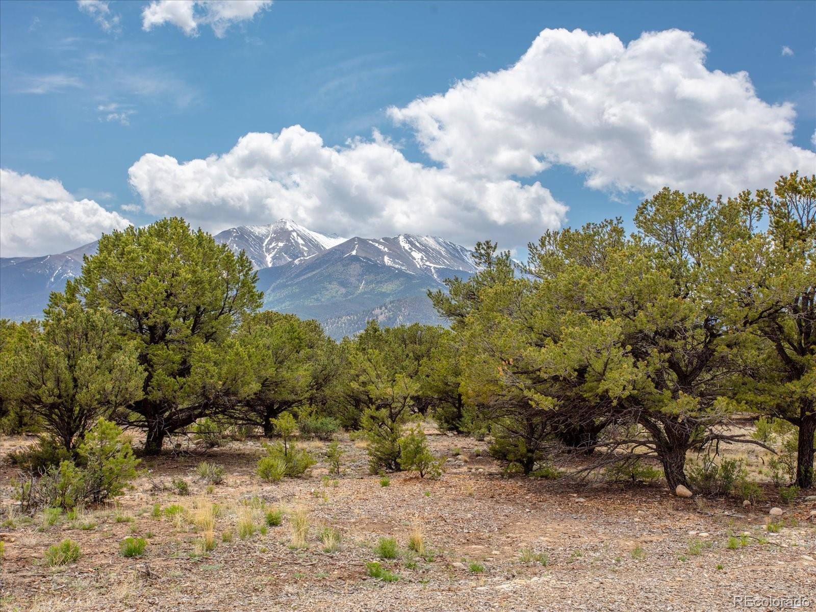 29274 Lakota Lane Buena Vista CO 81211