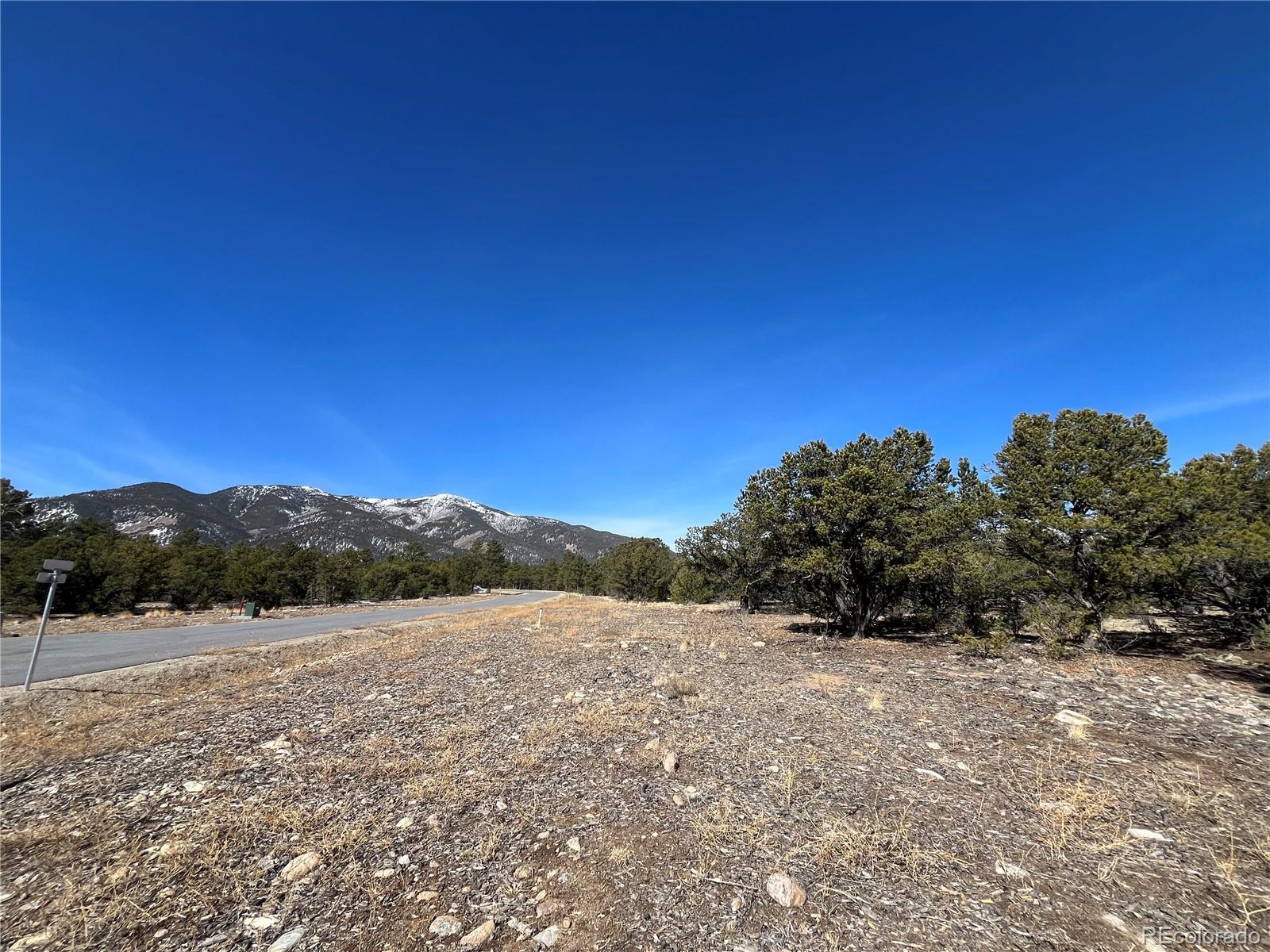 29274 Lakota Lane Buena Vista CO 81211