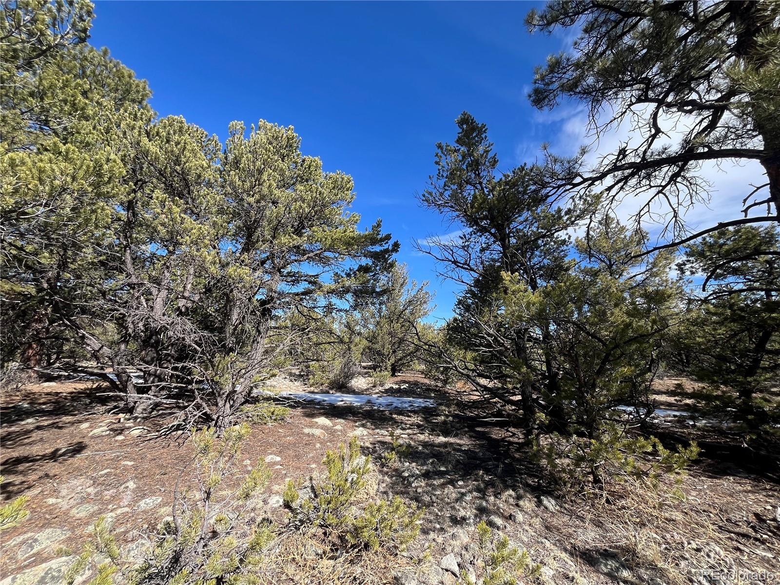 29274 Lakota Lane Buena Vista CO 81211