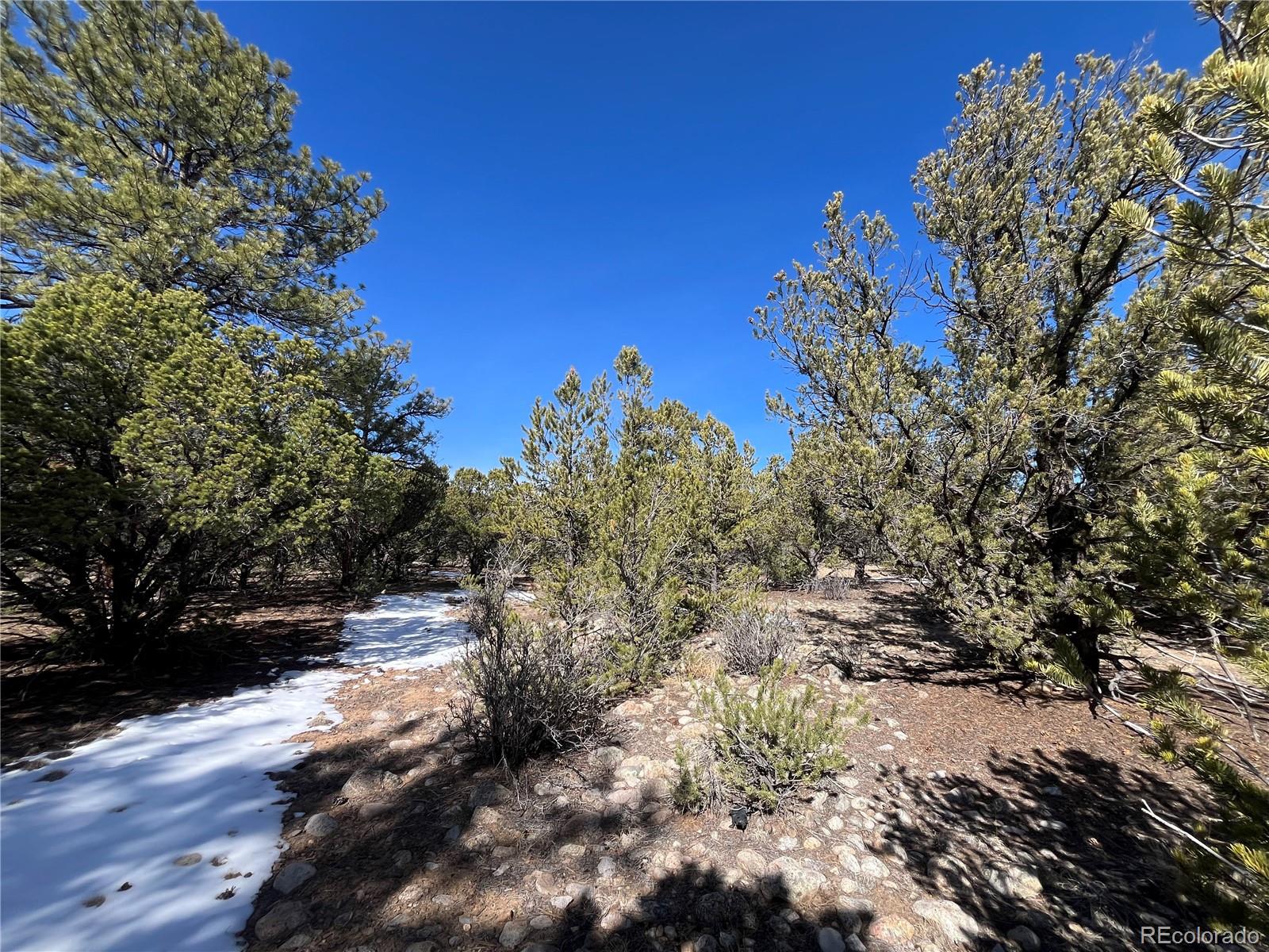 29274 Lakota Lane Buena Vista CO 81211