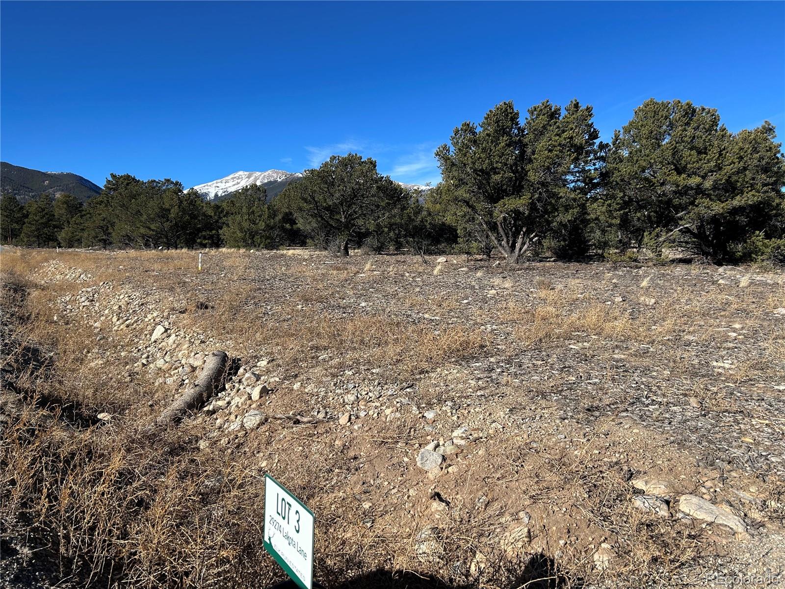 29274 Lakota Lane Buena Vista CO 81211