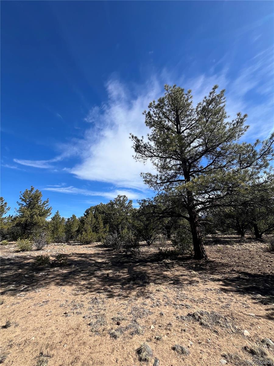 29274 Lakota Lane Buena Vista CO 81211