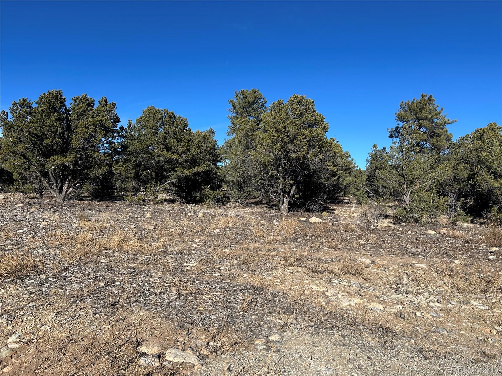 29274 Lakota Lane Buena Vista CO 81211